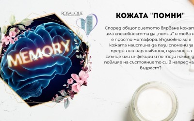 Кожата "помни" - мит или истина